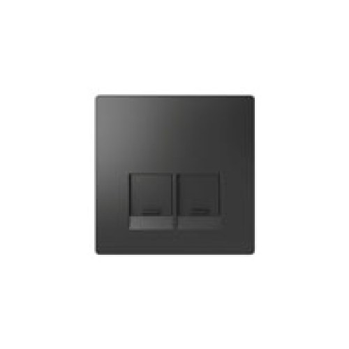 Накладка для Розетки компьютерной 2-х модульной Merten D-Life — Schneider Electric MTN4572-6034