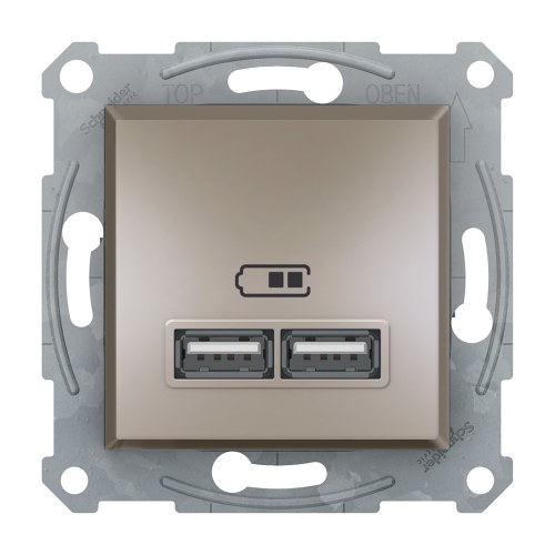 Розетка USB Asfora, бронза — Schneider Electric EPH2700269