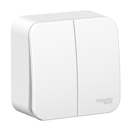 2-клавишный выключатель открытой установки 6А 250В, белый Blanca — Schneider Electric BLNVA065001