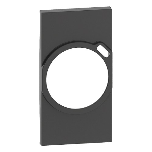 Лицевая панель для розетки с USB зарядкой 2К+З/USB, 2 модуля, Living Now, черная — Bticino BT-KG63