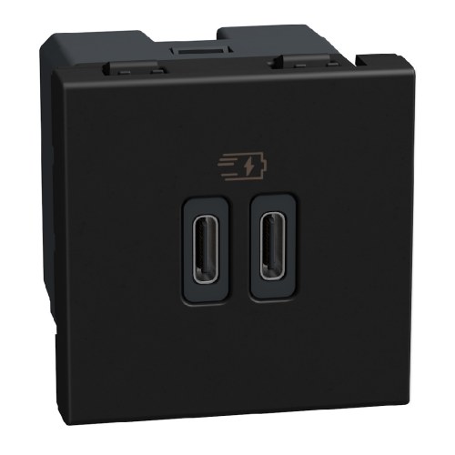 Light Now - двойная USB розетка, 2 x Type-C 30W, 2 модуля, цвет черный — Bticino BT-YD4293CC
