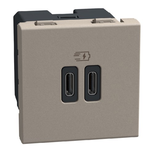 Light Now - двойная USB розетка, 2 x Type-C 30W, 2 модуля, цвет камень — Bticino BT-YG4293CC