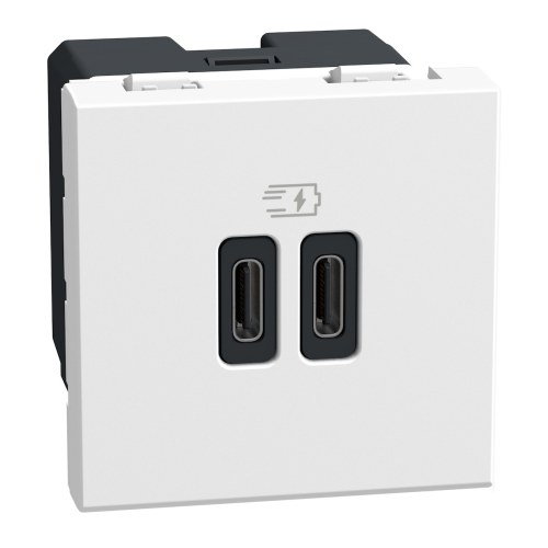 Light Now - двойная USB розетка, 2 x Type-C 30W, 2 модуля, цвет белый — Bticino BT-YW4293CC